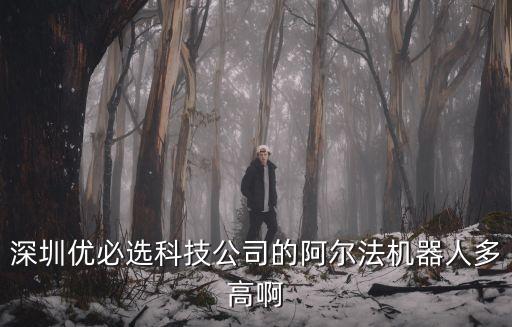 深圳優(yōu)必選科技公司的阿爾法機器人多高啊