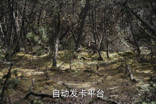 自動(dòng)發(fā)卡平臺(tái)