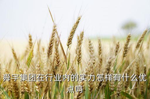 武漢舜宇智能科技怎么樣，舜宇集團(tuán)在行業(yè)內(nèi)的實(shí)力怎樣有什么優(yōu)點(diǎn)嗎