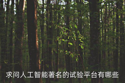 求問人工智能著名的試驗(yàn)平臺(tái)有哪些