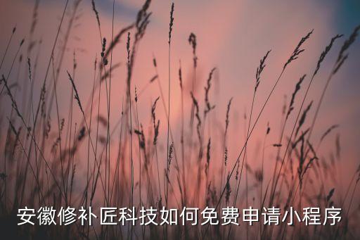 安徽修補(bǔ)匠科技如何免費(fèi)申請小程序