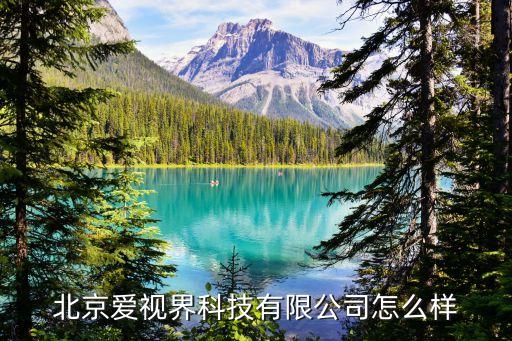 北京愛(ài)視界科技有限公司怎么樣