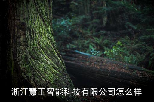 慧至智能科技怎么樣，浙江慧工智能科技有限公司怎么樣