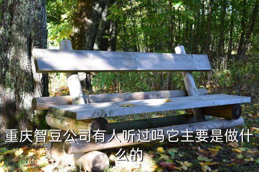 重慶智豆公司有人聽過嗎它主要是做什么的