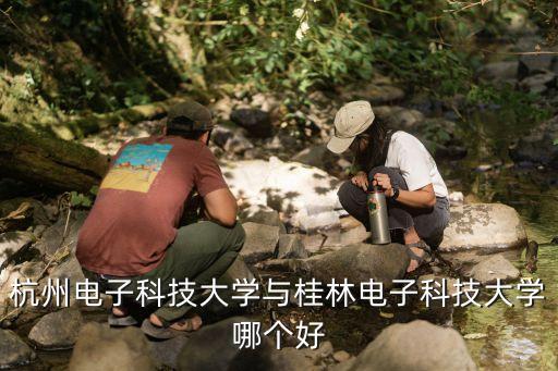 浙江鐳鵬智能科技怎么樣，浙江金華鵬孚隆科技有限公司怎么樣