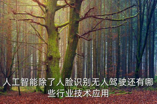 人工智能除了人臉識(shí)別無(wú)人駕駛還有哪些行業(yè)技術(shù)應(yīng)用