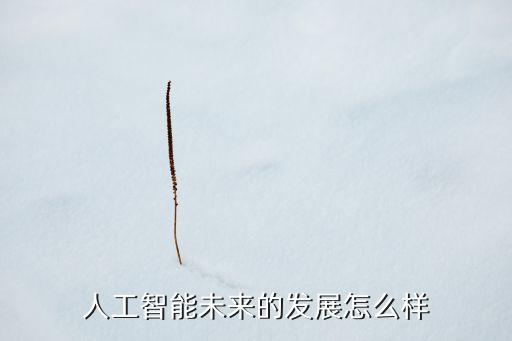 人工智能未來的發(fā)展怎么樣