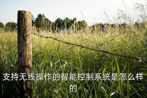 支持無線操作的智能控制系統(tǒng)是怎么樣的