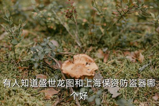 有人知道盛世龍圖和上海保資防盜器哪個好
