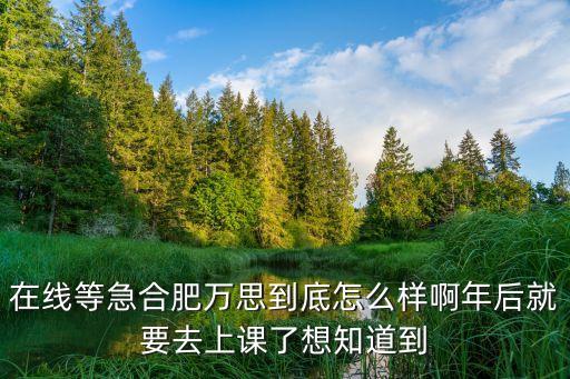 在線等急合肥萬思到底怎么樣啊年后就要去上課了想知道到