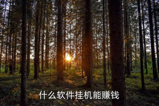 免費(fèi)掛機(jī)軟件自動(dòng)賺錢，電腦有什么免費(fèi)掛機(jī)賺錢的軟件嗎