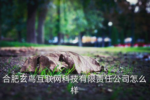 合肥玄鳥互聯(lián)網(wǎng)科技有限責(zé)任公司怎么樣