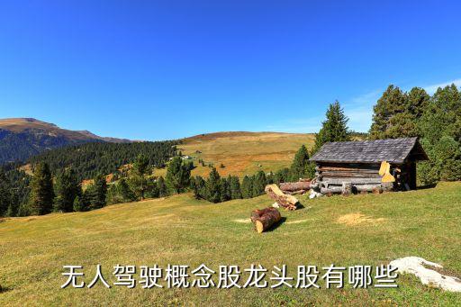 無(wú)人駕駛概念股龍頭股有哪些