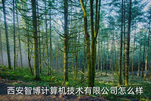 智翼博智能科技怎么樣，西安智博計(jì)算機(jī)技術(shù)有限公司怎么樣
