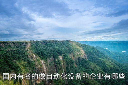 國內(nèi)有名的做自動化設(shè)備的企業(yè)有哪些