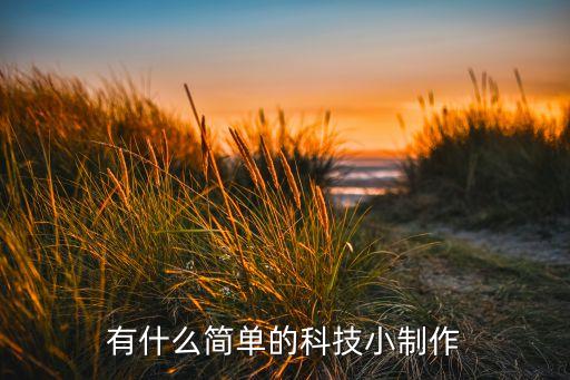 科技小制作 手工 簡(jiǎn)單，有什么簡(jiǎn)單的科技小制作