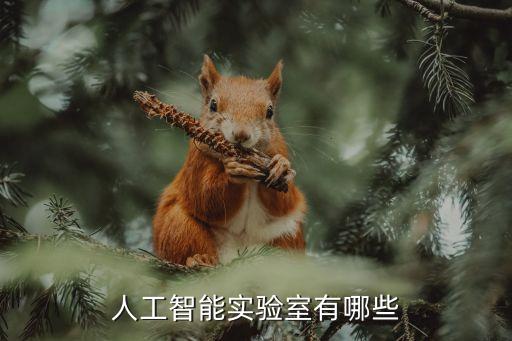 學(xué)校人工智能實驗室，人工智能實驗室有哪些