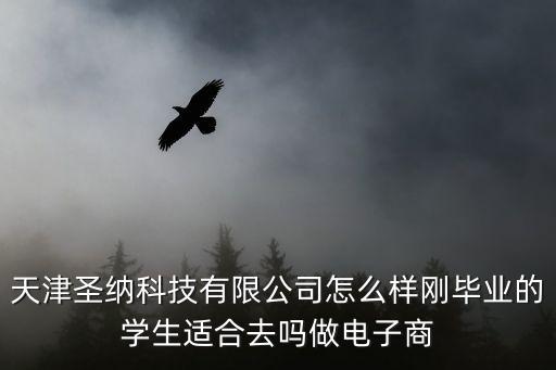 天津晟納智能科技怎么樣，天津圣納科技有限公司怎么樣剛畢業(yè)的學(xué)生適合去嗎做電子商