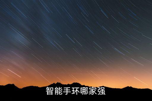 智能手環(huán)哪家強(qiáng)