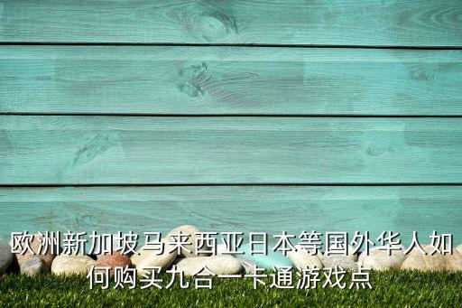 歐洲新加坡馬來(lái)西亞日本等國(guó)外華人如何購(gòu)買(mǎi)九合一卡通游戲點(diǎn)