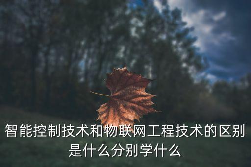 智能控制技術(shù)和物聯(lián)網(wǎng)工程技術(shù)的區(qū)別是什么分別學(xué)什么