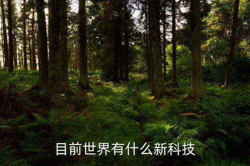 目前世界有什么新科技