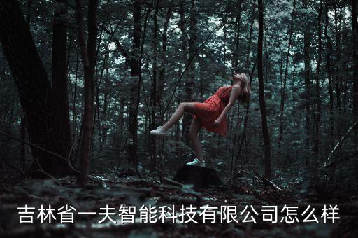 吉林省一夫智能科技有限公司怎么樣
