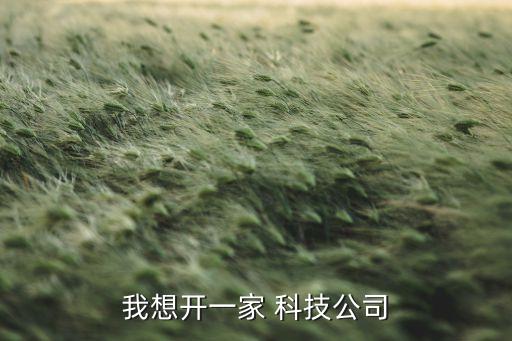 我想開科技怎么開，想開一家網(wǎng)絡(luò)科技公司什么流程
