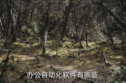 辦公自動化軟件有哪些