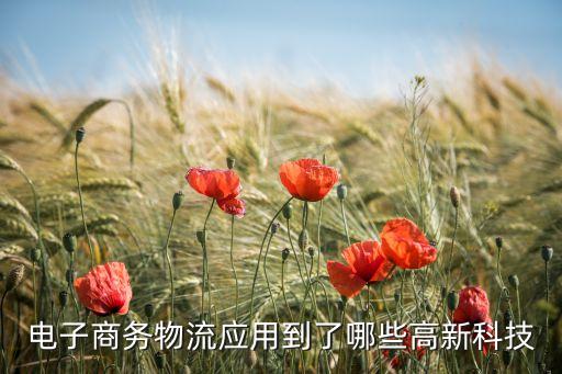 電子商務(wù)物流應(yīng)用到了哪些高新科技