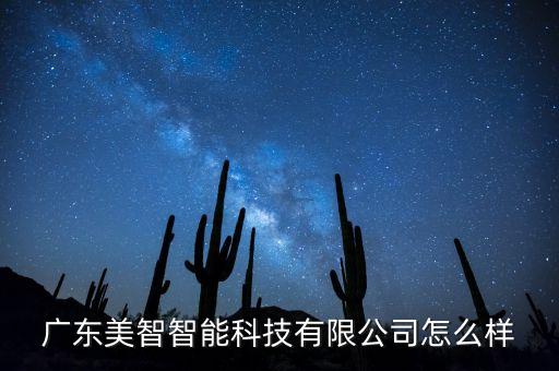 廣東美智智能科技有限公司怎么樣