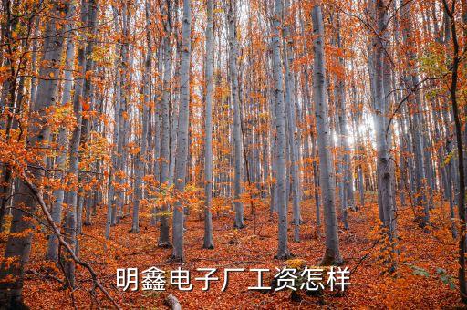 福建明鑫智能科技怎么樣，明鑫電子廠工資怎樣