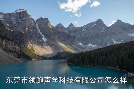 領(lǐng)跑智能科技怎么樣，廣州領(lǐng)跑信息科技怎樣