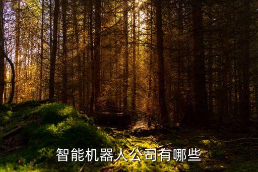 智能機(jī)器人公司有哪些