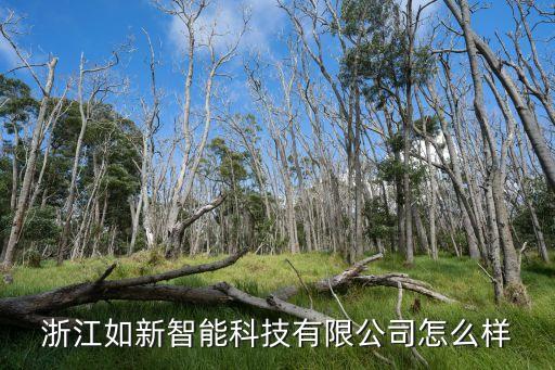 浙江如新智能科技有限公司怎么樣
