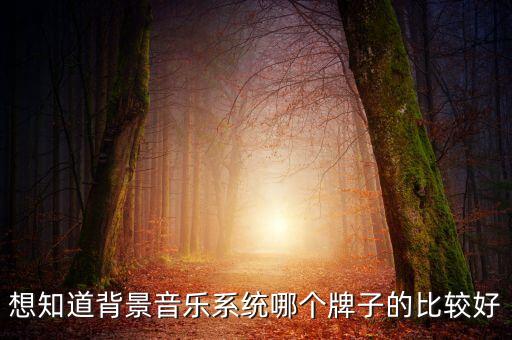 想知道背景音樂(lè)系統(tǒng)哪個(gè)牌子的比較好