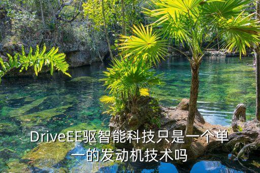 DriveEE驅智能科技只是一個單一的發(fā)動機技術嗎