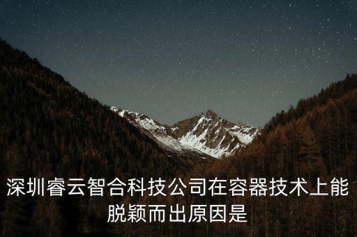 深圳睿云智合科技公司在容器技術(shù)上能脫穎而出原因是