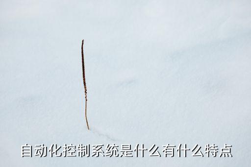 自動化控制系統(tǒng)是什么有什么特點