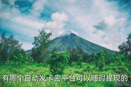 有哪個(gè)自動(dòng)發(fā)卡密平臺(tái)可以隨時(shí)提現(xiàn)的
