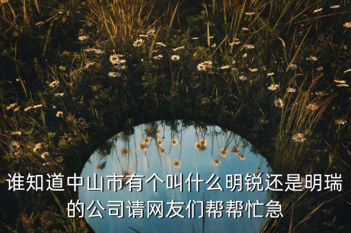 明瑞智能科技是做什么的，成都明瑞電子有限公司怎么樣