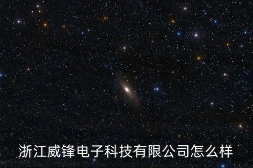 浙江威鋒電子科技有限公司怎么樣