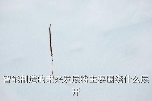 智能制造的未來發(fā)展將主要圍繞什么展開