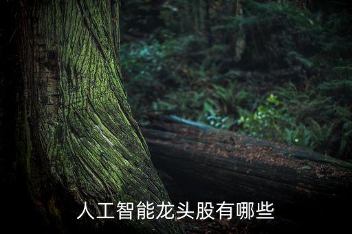 人工智能上市公司龍頭，人工智能芯片誰是龍頭 智能芯片上市企業(yè)有哪些