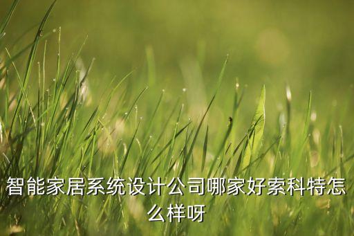 智能家居系統(tǒng)設(shè)計(jì)公司哪家好索科特怎么樣呀