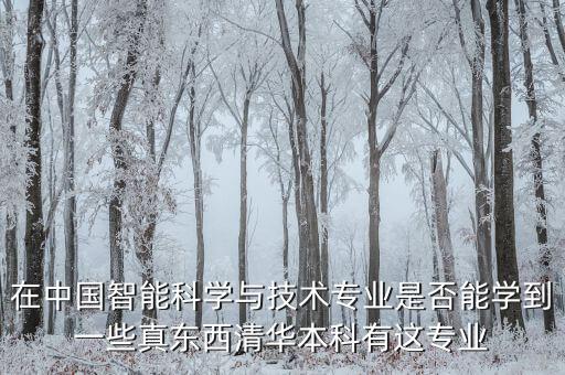 在中國智能科學(xué)與技術(shù)專業(yè)是否能學(xué)到一些真東西清華本科有這專業(yè)
