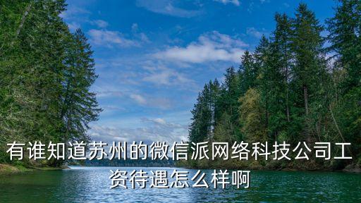 有誰(shuí)知道蘇州的微信派網(wǎng)絡(luò)科技公司工資待遇怎么樣啊