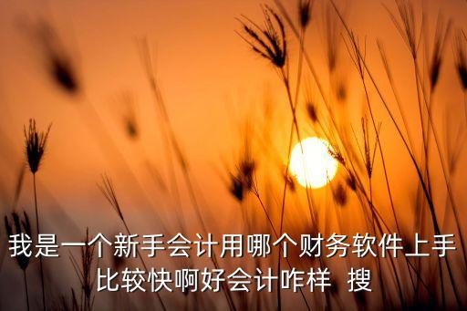我是一個(gè)新手會(huì)計(jì)用哪個(gè)財(cái)務(wù)軟件上手比較快啊好會(huì)計(jì)咋樣  搜