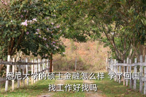 悉尼大學(xué)的碩士金融怎么樣 學(xué)了回國找工作好找嗎