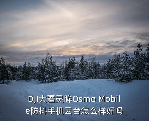 DJI大疆靈眸Osmo Mobile防抖手機云臺怎么樣好嗎